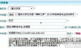 江西新闻爆料投稿流程,轻松掌握投稿流程攻略